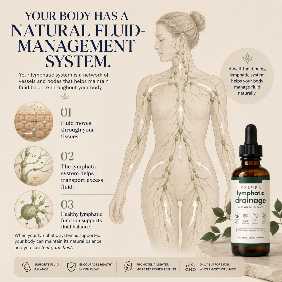 Velure™ Lymphatic Support Drops